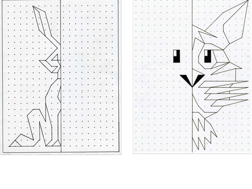 Reflectional and Rotational Symmetry