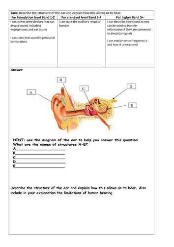 Sound and Hearing Differentiated Assessment