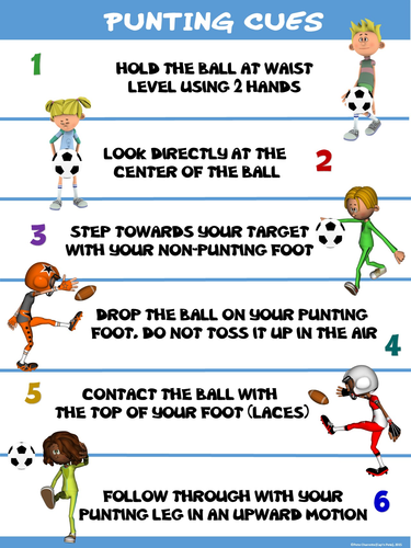 PE Poster: Punting Cues