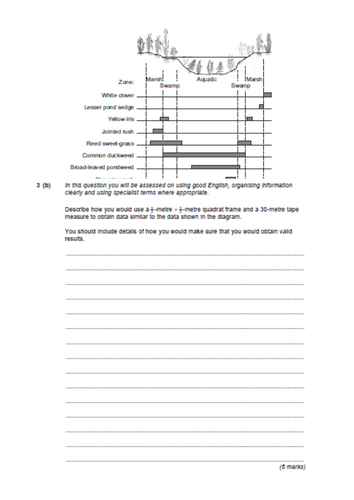 GCSE Transects
