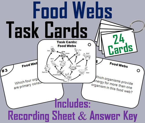 Food Web Task Cards