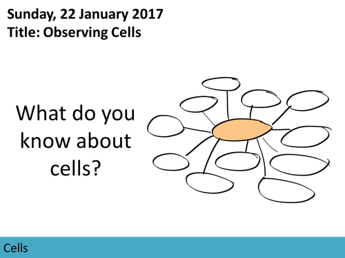 Cells: Observing Cells Lesson