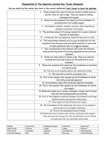 AQA Organisation & The Digestive System Key Terms Sheet