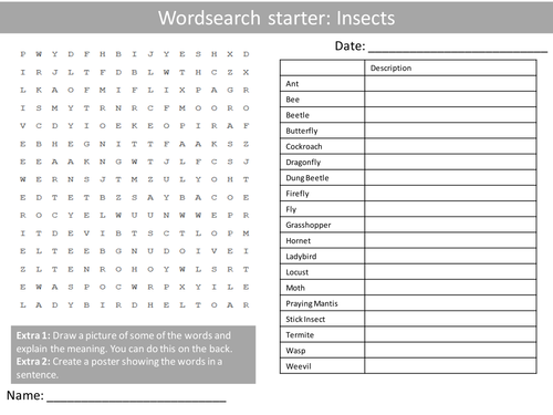 Insects Science Biology Starter Activities Wordsearch, Anagrams and Crossword Homework or Cover
