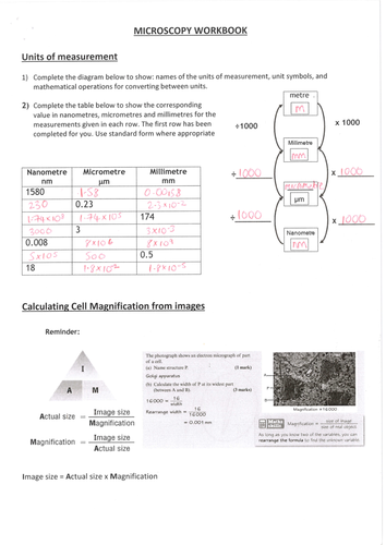 Microscopy Workbook Converting Units Magnification Scale Bars Teaching Resources