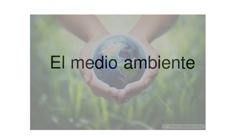 Powerpoint Vocabulario : EL MEDIO AMBIENTE