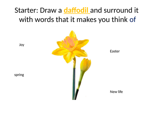 Daffodils KS3 Poetry Lesson