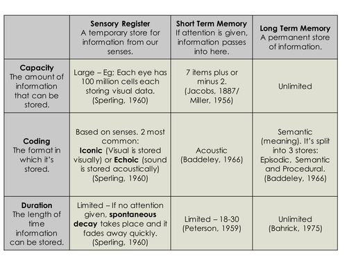 Psycholgy Memory - MSM / WMM / Cognitive Interview / LTM | Teaching ...