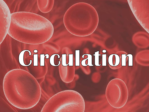 AQA AS - Circulation