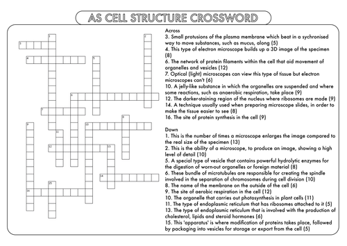 Fossils And Relative Dating Crossword Word — db-exce…