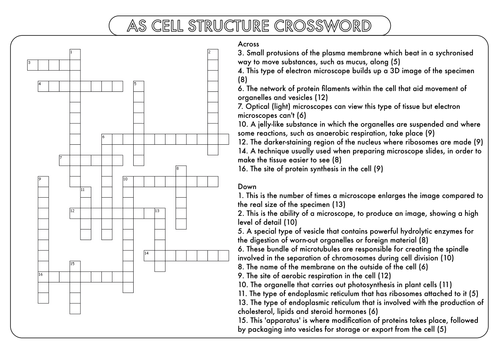 A Level Biology Crossword Pack On Cell Biology And Biochemistry Teaching Resources