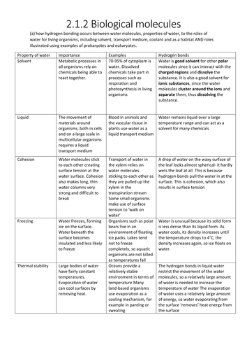 OCR AS Level :Biological Molecules