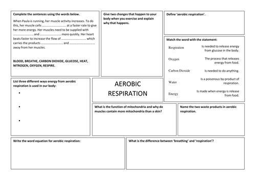 Aerobic Respiration Worksheet