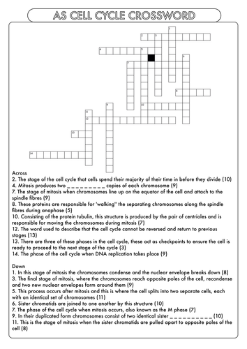 a-level-biology-crossword-pack-on-the-cell-cycle-and-cell-division-by