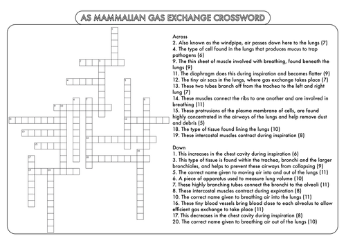 A Level Biology: Crossword Pack on the Lungs and Heart