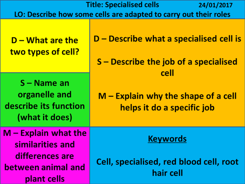 New Exploring Science - Year 7 - Cells - L6 Specialised Cells