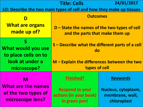 New Exploring Science - Year 7 - Cells - L5 Cells
