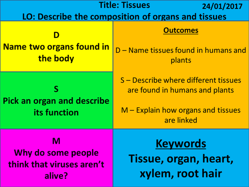 New Exploring Science - Year 7 - Cells - L3 Tissues