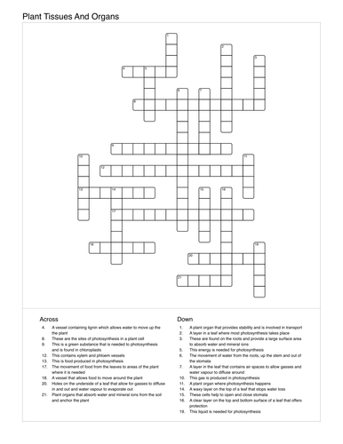 Plant organs and systems bundle - foldable, crossword, wordsearch and tick sheets AQA B2 Organisatio