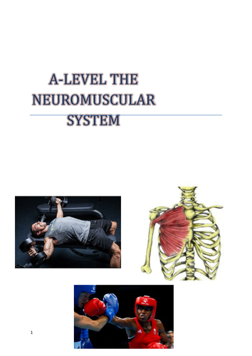 A-Level PE Neuromuscular System booklet