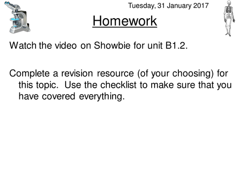 AQA B1.2 Nerves and Hormones - Structured Revision
