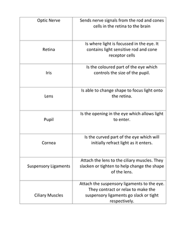 The Eye (Edexcel Biology 9-1)