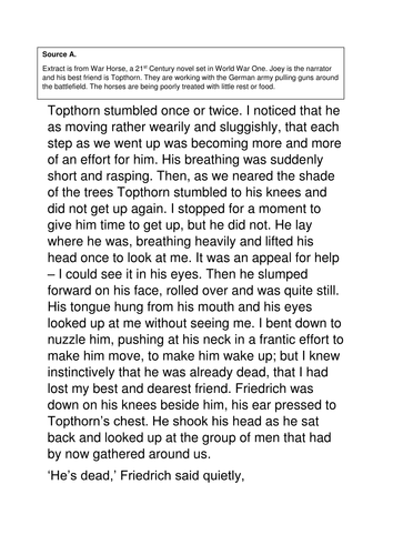 Essay on horse riding image