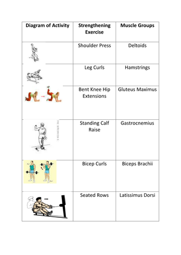 Edexcel GCSE PE Muscular System Card Sorting Activity