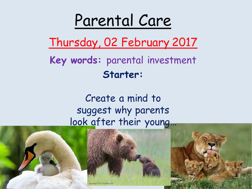 EdExcel- B3- Topic 2- Parental Care | Teaching Resources