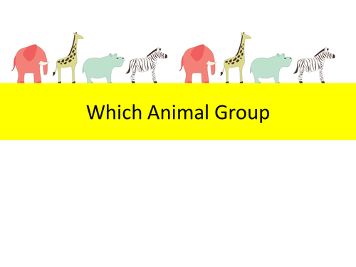 Which Animal Group Quiz