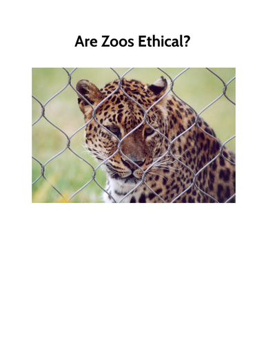 Big Write: Balanced Arguments Zoos Animals Year 6 Year 5