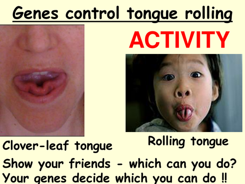 Genes, genetics, alleles and inherited characteristics (dominant and recessive) - complete lesson.