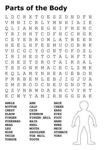 Parts of the Body Word Search