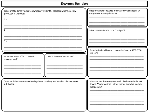 Enzymes Revision Worksheet - KS3/4 Biology Topic