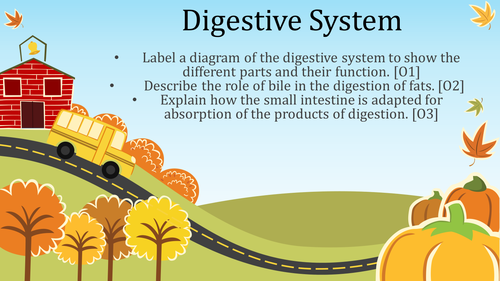 AQA TRILOGY BIOLOGY Exploring the digestive system