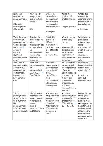 Photosynthesis revision questions