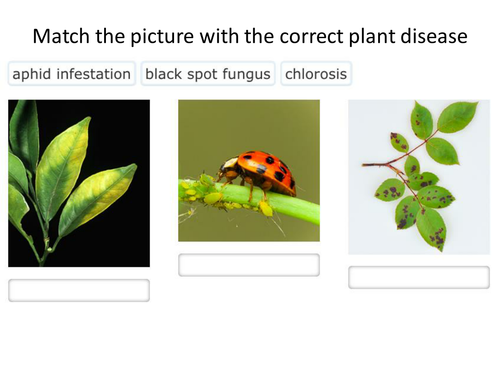 GCSE Biology 5.10 and 5.11 More about plant diseases and responses NEW specification