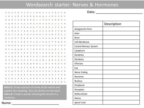 Science Biology Nerves and Hormones Wordsearch Crossword Anagrams Keyword Starters Homework or Cover