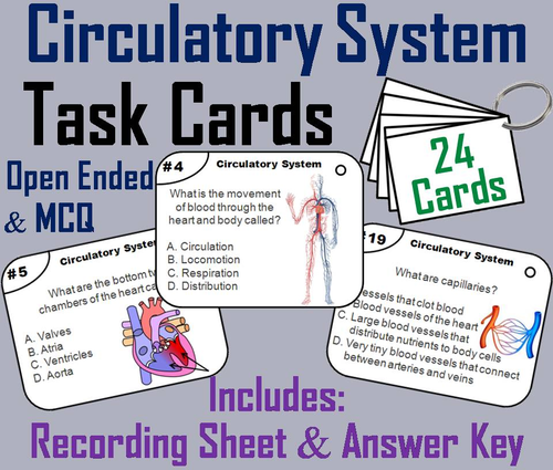 Heart and Circulatory System Task Cards
