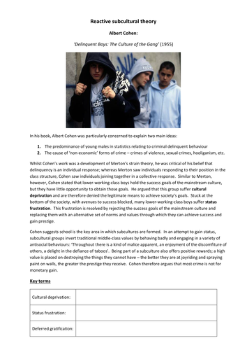A2 Sociology: Subcultural theories of crime and deviance
