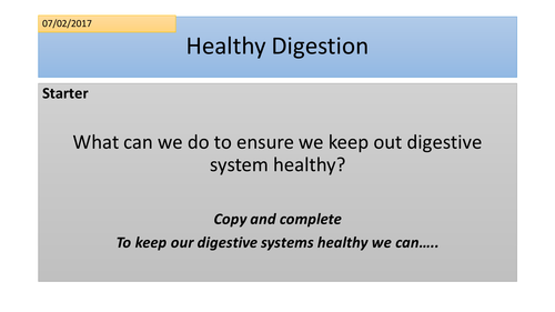 good bacteria for digestion