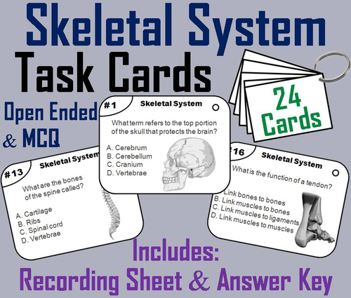 Bones and the Skeletal System Task Cards