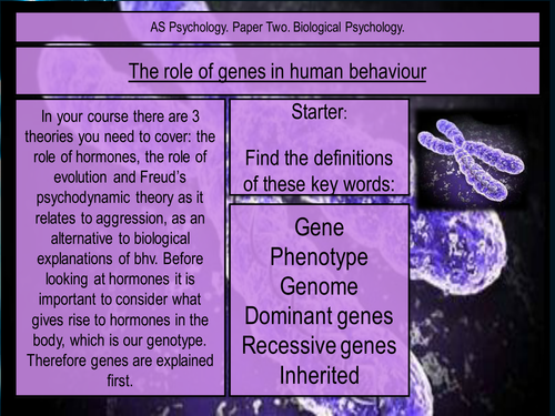 Genes, Evolution and Aggression. Psychology. Biological Psychology. Edexcel Paper 2 AS