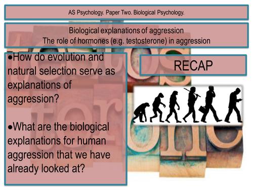 Hormones and Aggression. Biological Psychology.