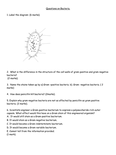 Gram positive and gram negative bacteria