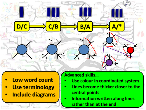 Mind mapping, Growth mindset and Processing