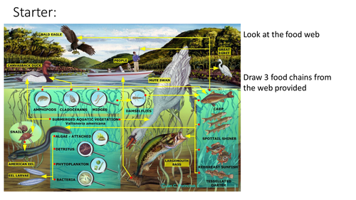 B6 OCR LIFE IN THE WATER