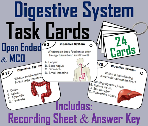 Digestive System Task Cards