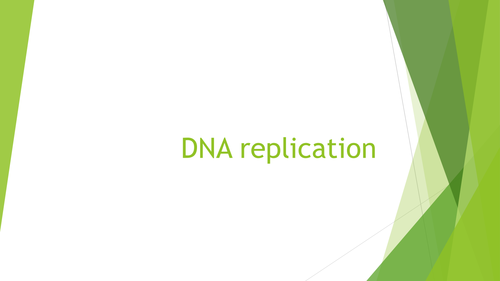 DNA replication