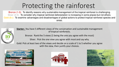 Protecting the rainforest